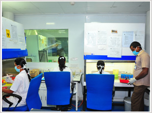 L & T Microbiology Research